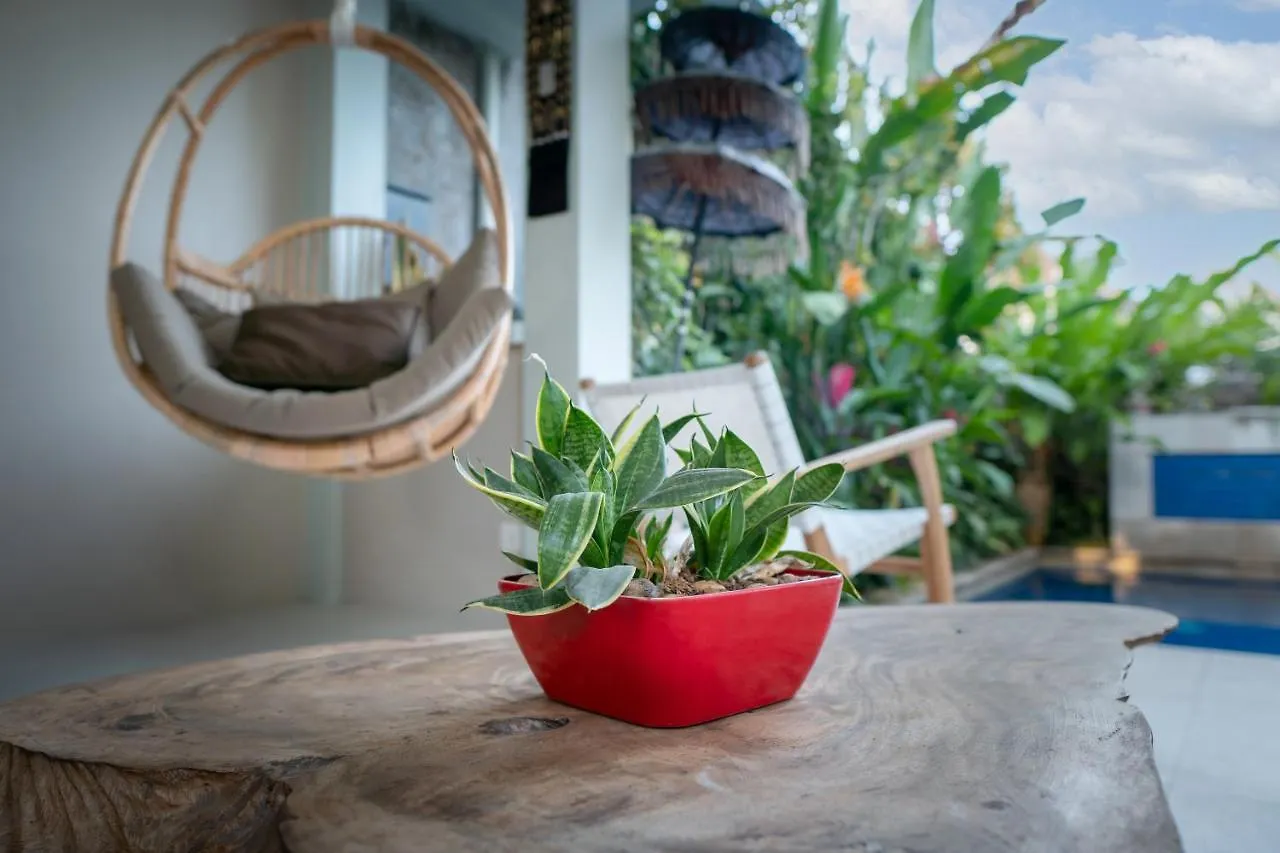 *** Guest house Angel House Ubud Eco Villa Indonesia