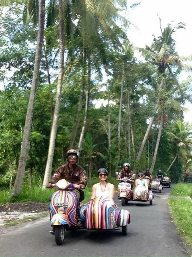 Angel House Ubud Eco Villa Guest house Ubud (Bali)